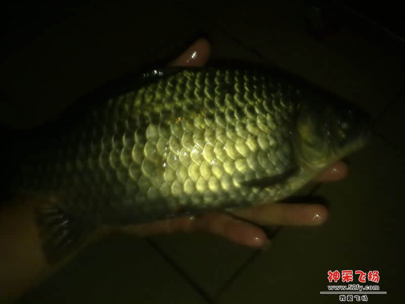 20131223443.jpg