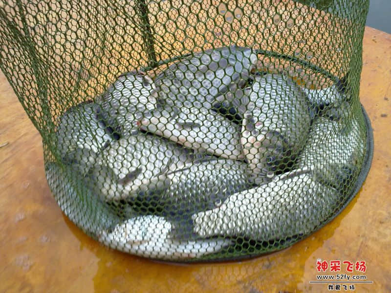 20131117426.jpg