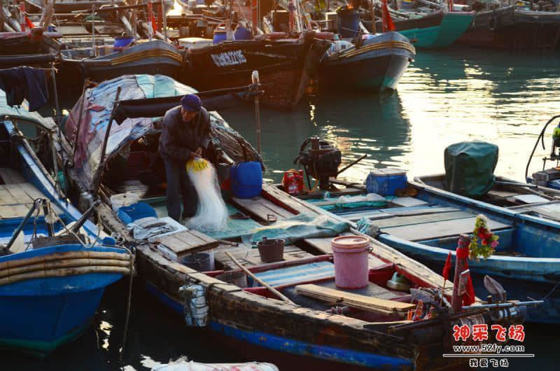 DSC_1434.jpg