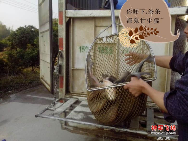 psb (3)_副本.jpg