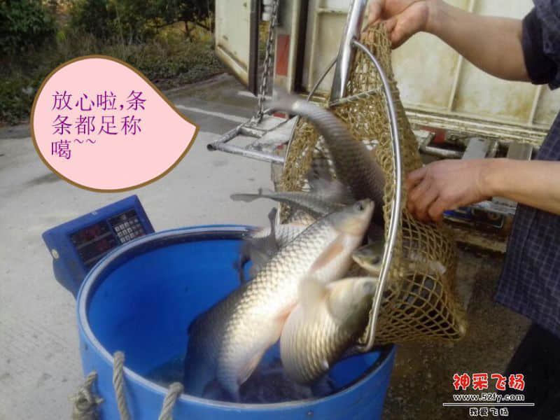 psb (6)_副本.jpg