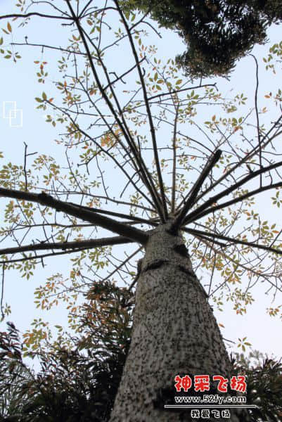 DPP_0390.jpg