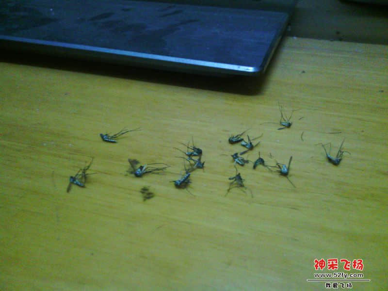 20131020_182036.jpg
