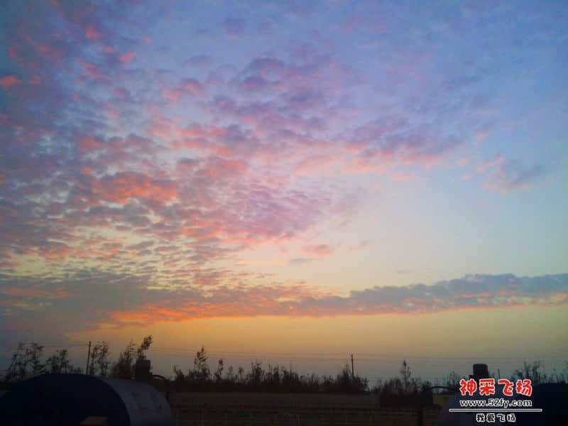 20131117_062807.jpg