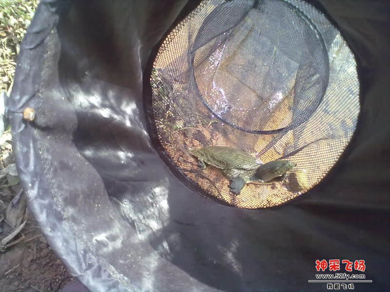 20140202024.jpg