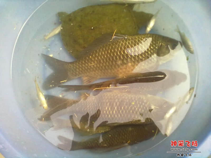 20140202027.jpg