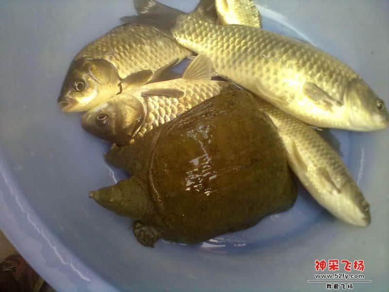 20140202031.jpg