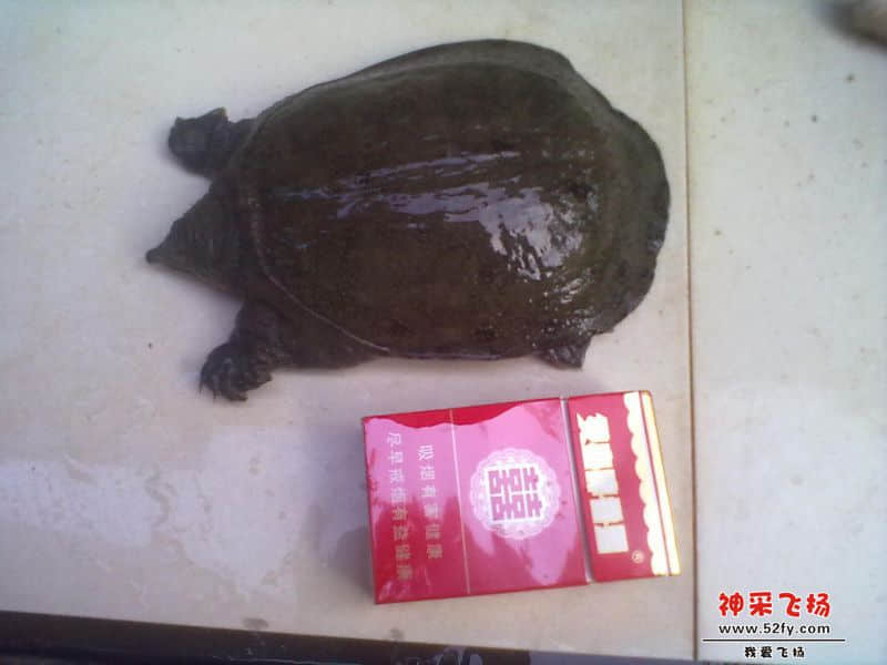 20140202032.jpg