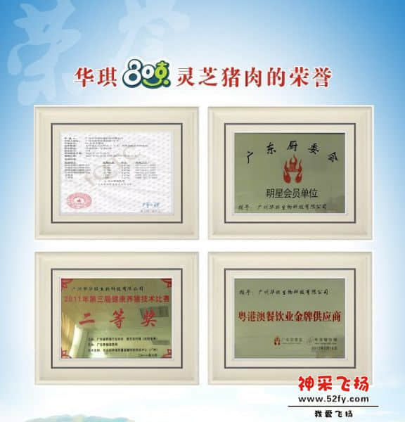参加广东养猪比赛