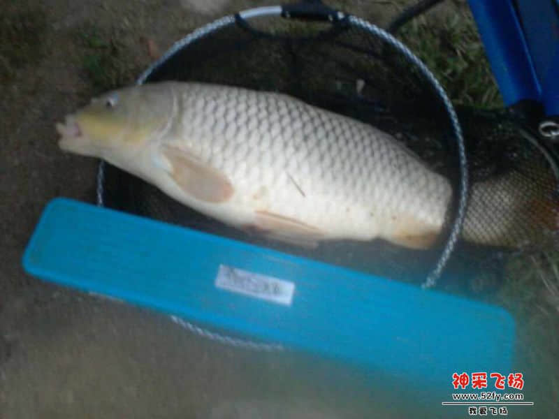 QQ图片20140217190612.jpg