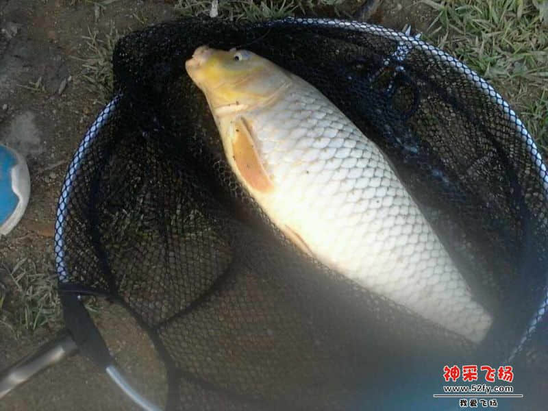 QQ图片20140217190637.jpg