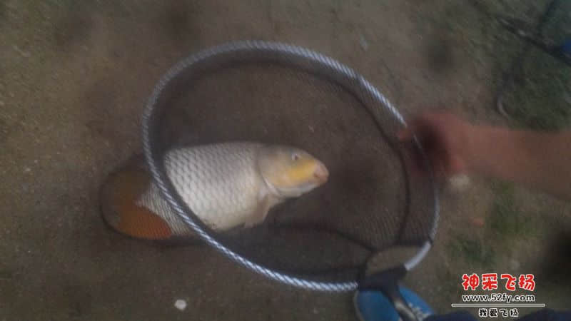 QQ图片20140217191408.jpg