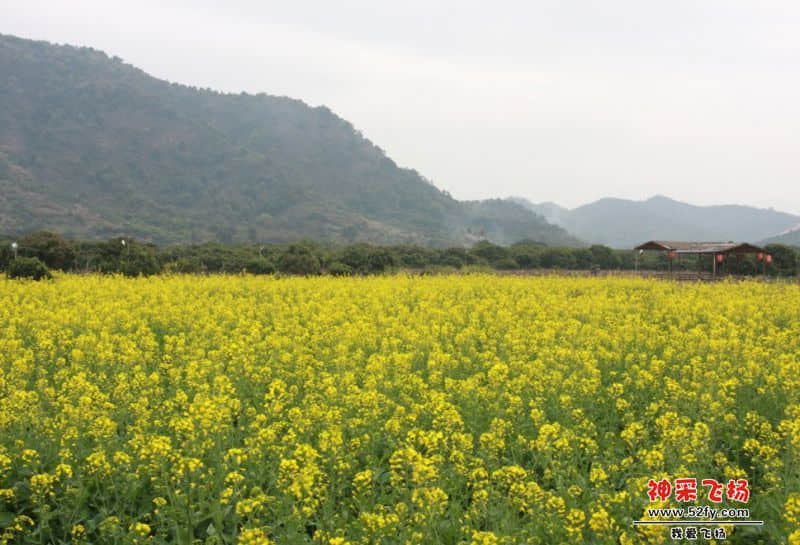 QQ图片20140224090840.jpg