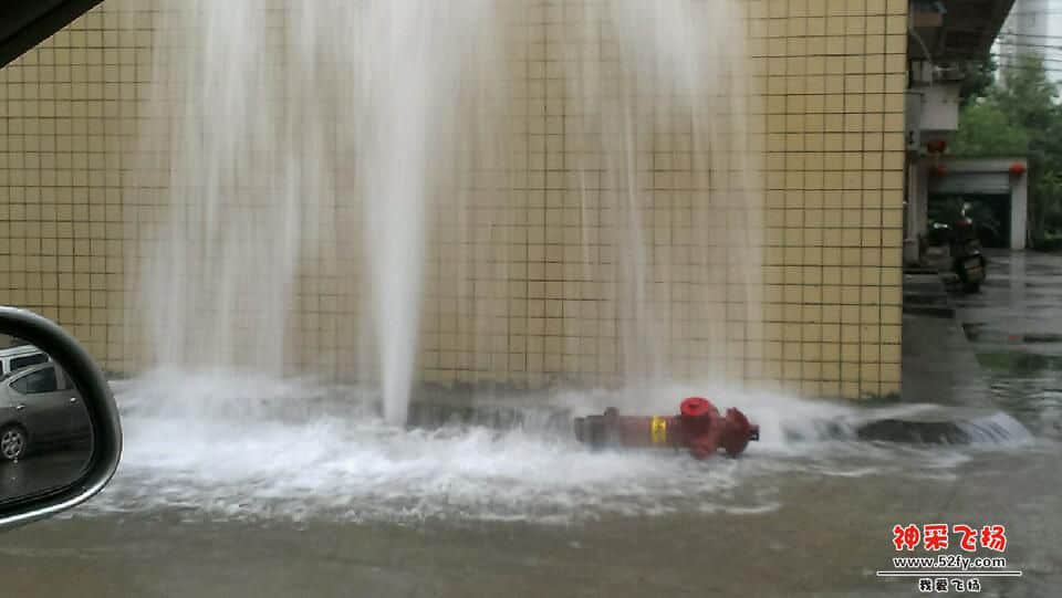 IMAG0072.jpg