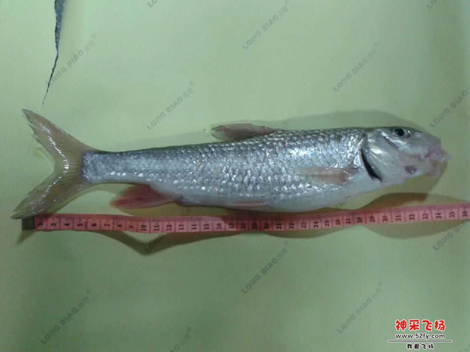 20140302_194737.jpg