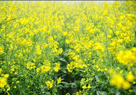 QQ截图20140307113419.png