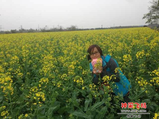 玫瑰园的油菜花