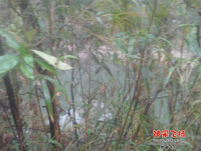 调整大小 wifi0s0-1862159624IMG20140312024.jpg