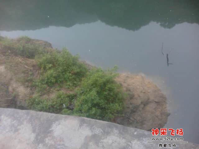 调整大小 wifi0s0944074136IMG20140312012.jpg
