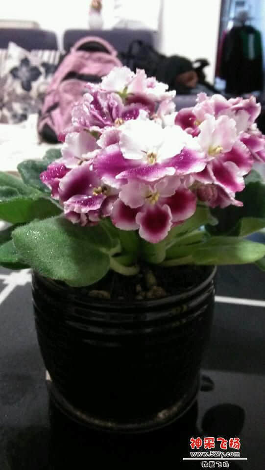 IMG_20140307_224313.jpg