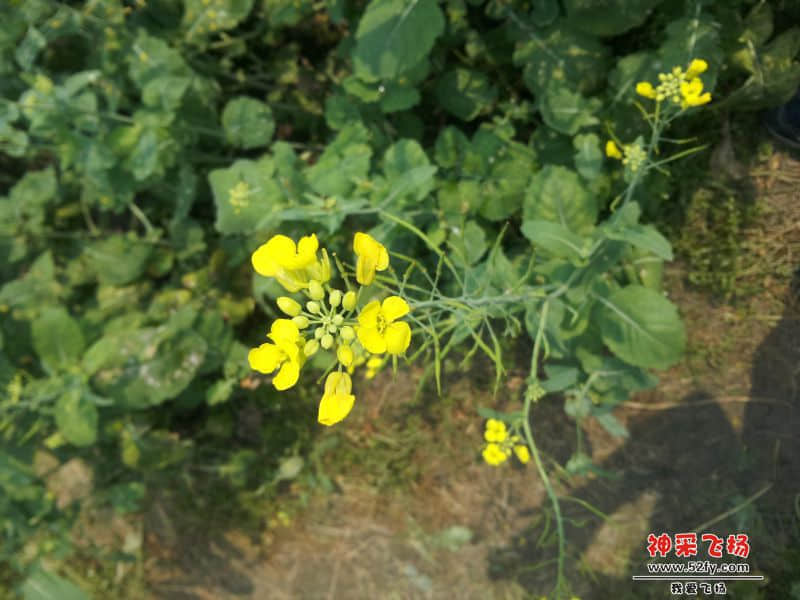 20140323_113701.jpg