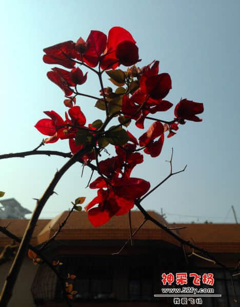 20140324C.JPG