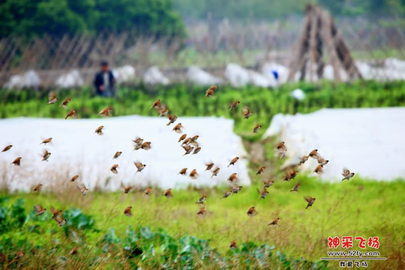 IMG_2439.JPG