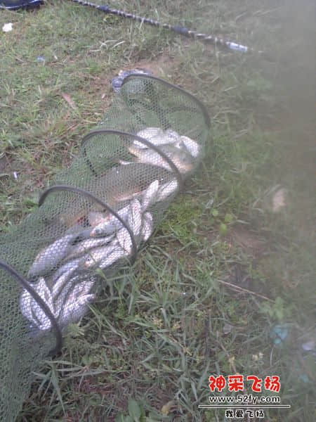20140403_171024.jpg