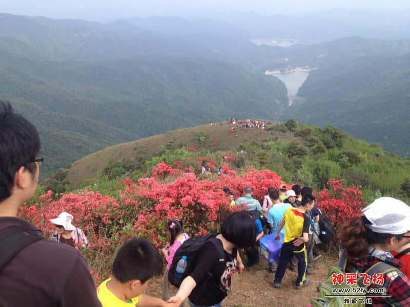 QQ图片20140414131720.jpg