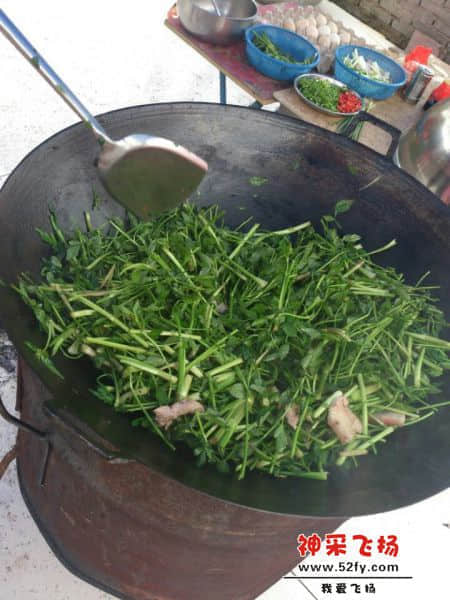 QQ图片20140421130646.jpg