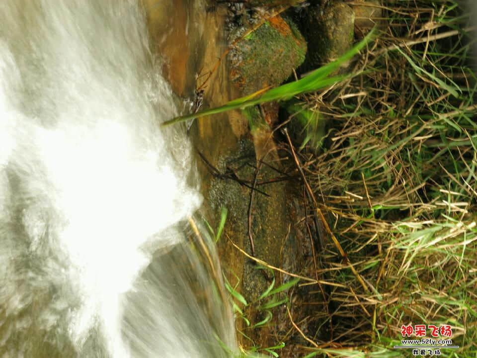 IMG_4040.JPG