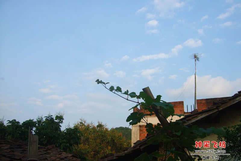 DSCF0151.jpg