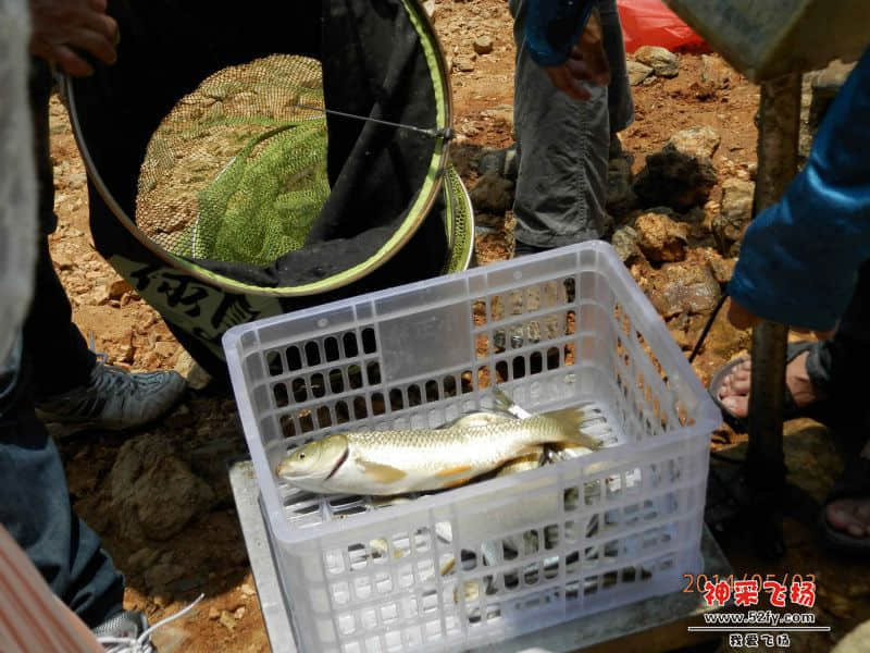 比赛结束钓手渔获称重