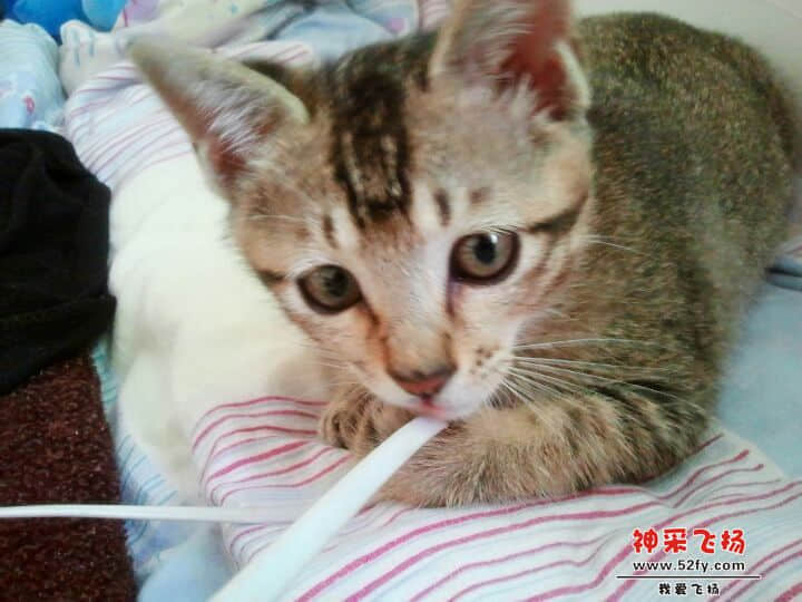 QQ图片20140515111117.jpg