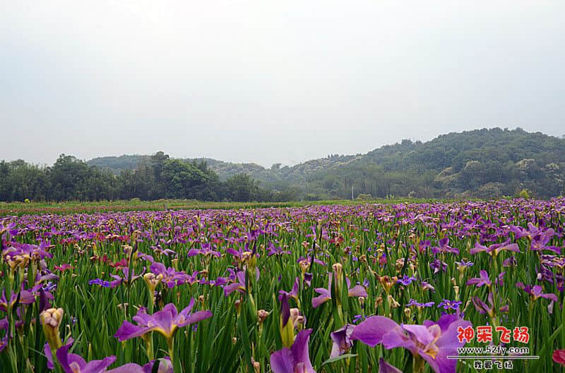 DSC_3395.jpg