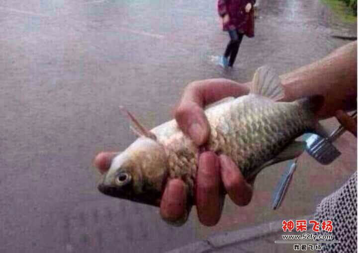 QQ图片20140523162700.jpg