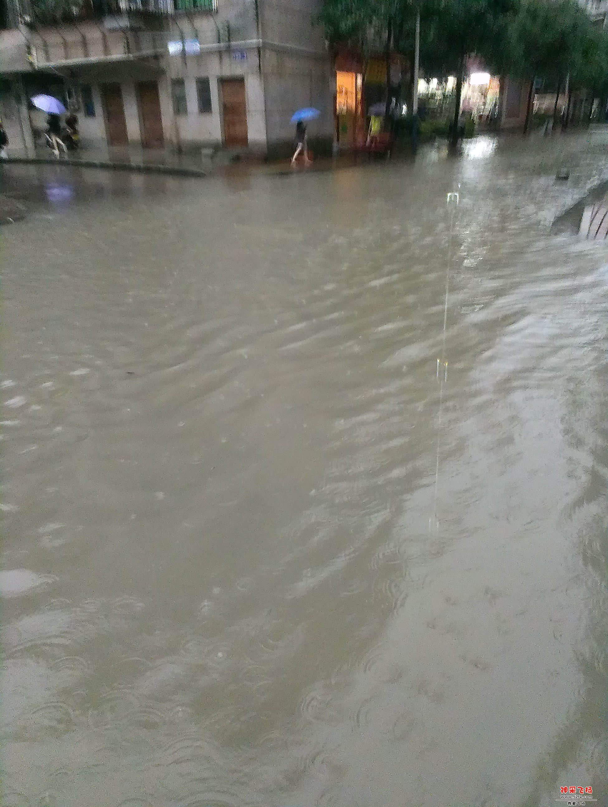 IMAG1756.jpg