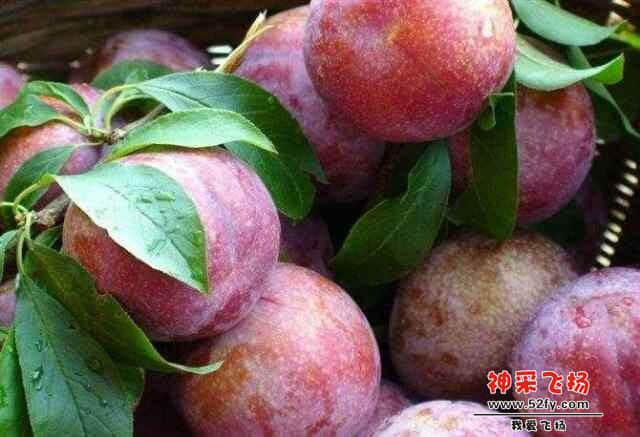 QQ图片20140528225126.jpg