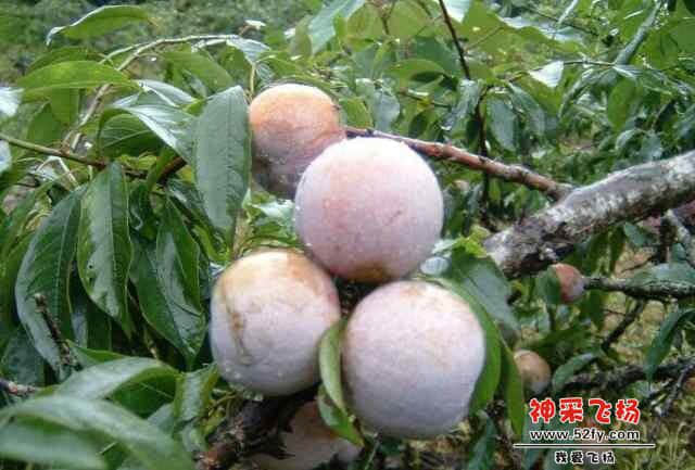 QQ图片20140528225138.jpg