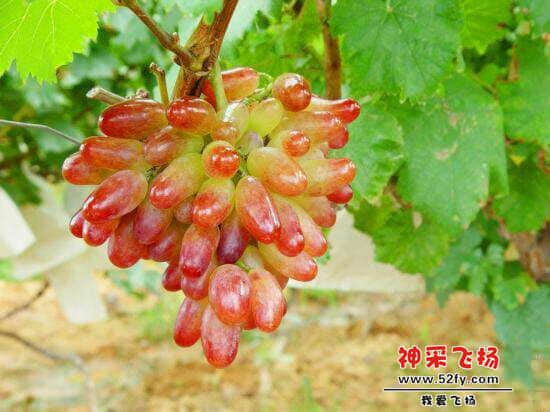 QQ图片20140528224234.jpg
