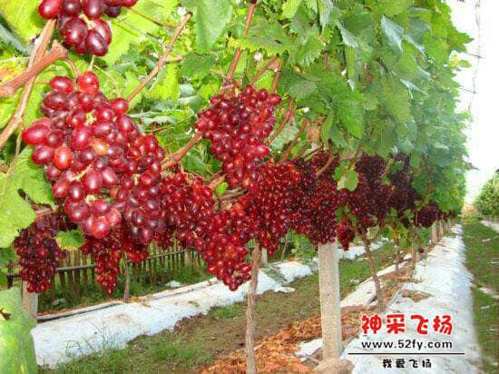 QQ图片20140528224246.jpg