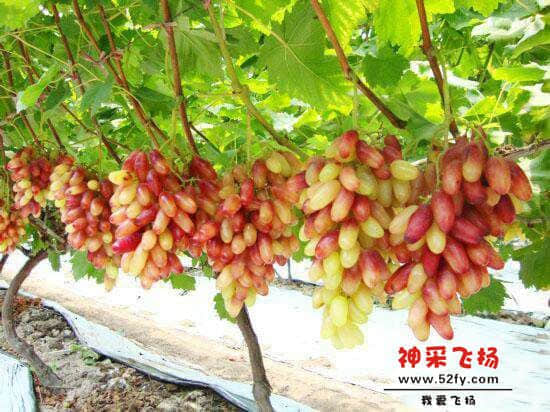QQ图片20140528224249.jpg