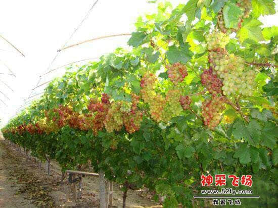 QQ图片20140528224256.jpg