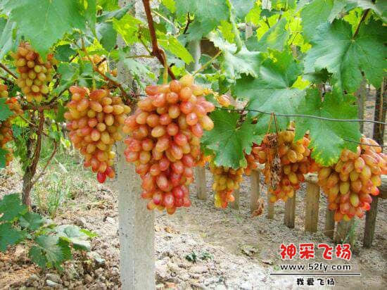 QQ图片20140528224300.jpg