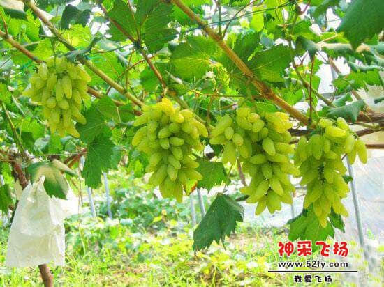 QQ图片20140528224308.jpg