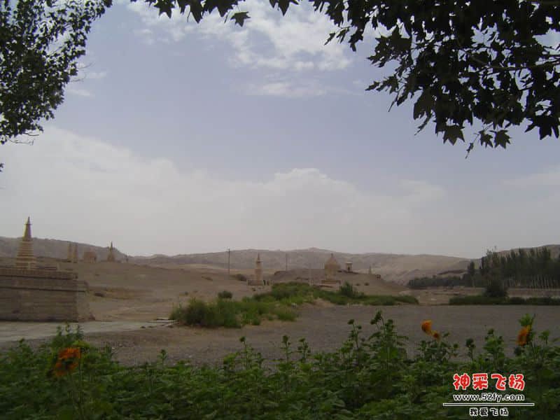 DSC00482_副本.jpg