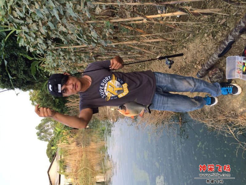 鲳鱼