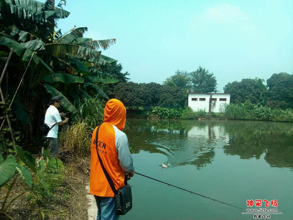 IMG_20140608_103159.jpg
