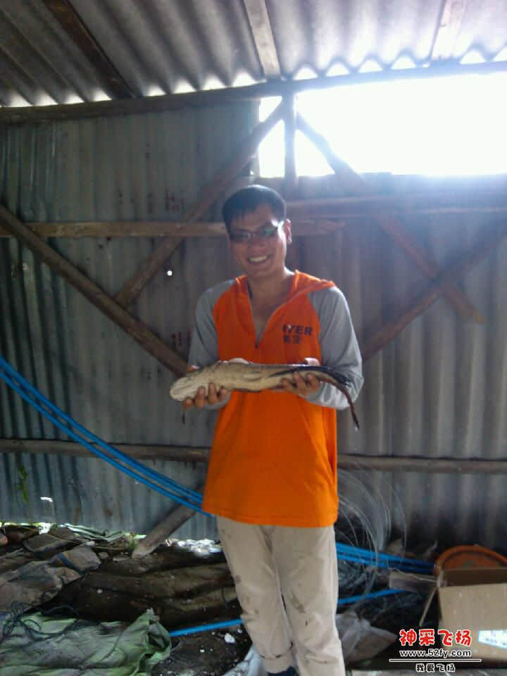 IMG_20140608_115202.jpg