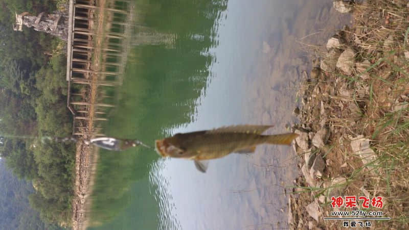 QQ图片20140706213016.jpg
